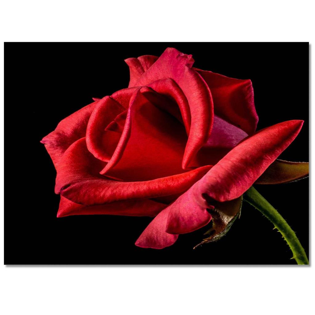 3D цветы домашний ковер большие коврики для спальни коврик для входной двери коврик для спальни коврик для гостиной коврик Tapete Sala