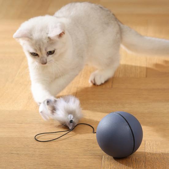 Автоматическая игрушка для кошек с катящимся мячом, интерактивная умная движущаяся игрушка с активируемым движением хвоста, электрическая игрушка для обогащения домашних животных для собак и кошек