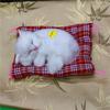 Premium Quality Cute Plush Toy Cat And Dog With Realistic Sound Simulation