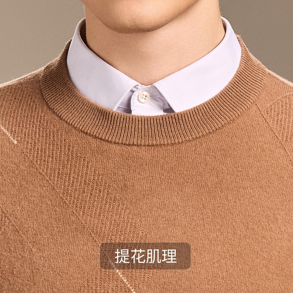 [100 Sheep Wool] Autumn and Winter Simple Thickened Warm Wool Sweater Men's Solid Color Round Neck Sweater Base Sweater