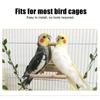Swing Interactive Parrot Standing Swing Bird  Supplies Bird Perch Mirror Toy Cockatiel Mirror Stand