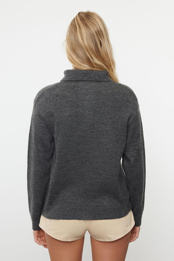 Women's Fashionable Stylish Sweater Mink More Sustainable Soft Textured Wide Fit Polo Neck Knitwear Sweater