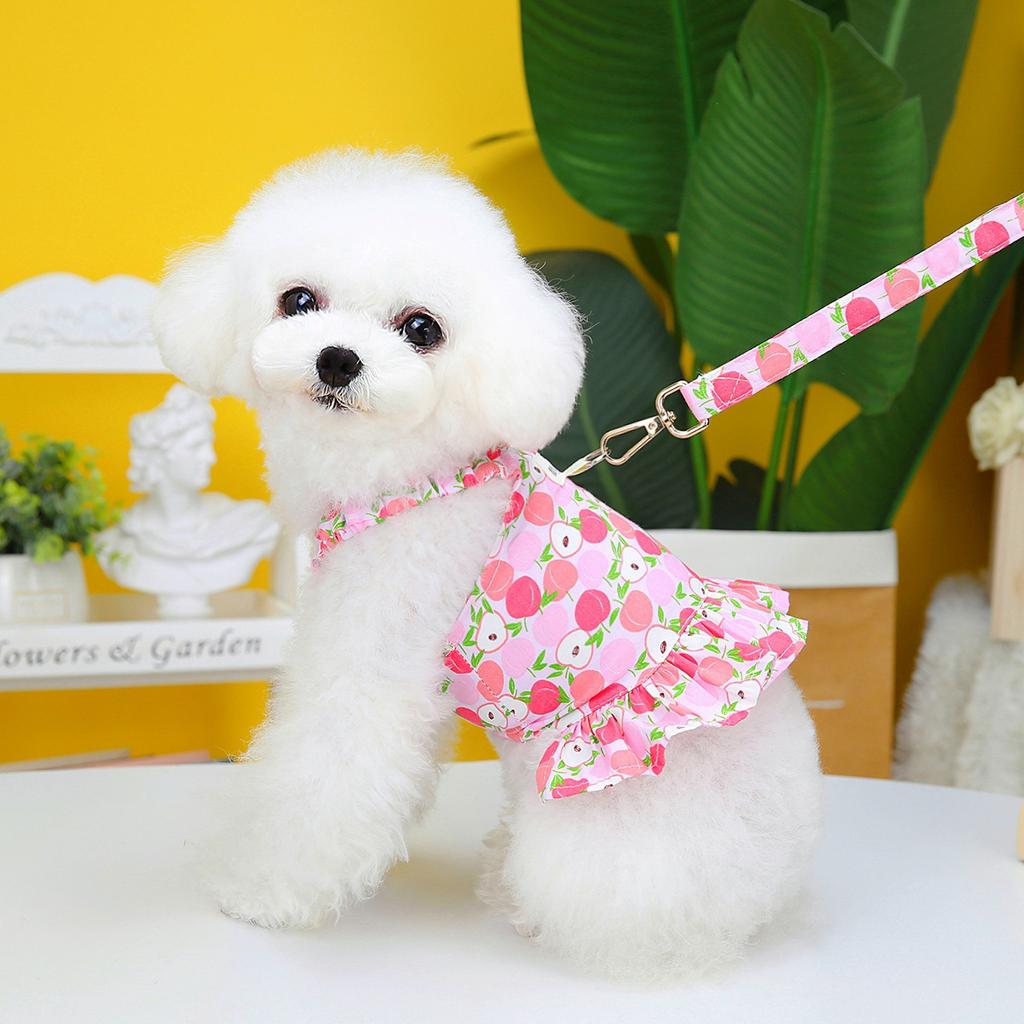 Весна/лето 2023 Одежда для домашних животных Юбка для собак Teddy Schnauzer Маленькая юбка с фруктами для собак (исключая веревку) одежда для домашних животных, одежда для кошек