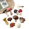 Nature Inspired Magnet 3D Mushroom Refrigerator Magnet, Resin Fake Decorative Kitchen Magnets Photo Notes Holder for Whiteboard Cabinet