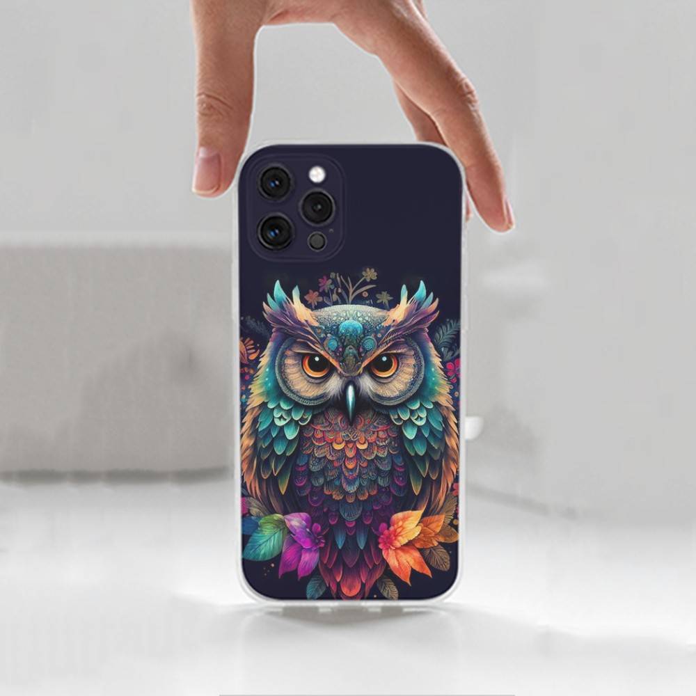 Милый C-Цветной Сова B-Птица Чехол Для iPhone X,XS,SE,12,15,Pro,17,Plus,11,Max,13,XR,14,16,Mini,Прозрачный Мягкий Чехол