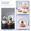 5 Pcs Preserved Flower Adornment Immortal Glass Hood Container Dome with Base Child Empty Water Globe Vase