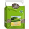 Hemp Seed - DELI NATURE - 4000 G - Seed Mix - Balanced Diet - Essential Food