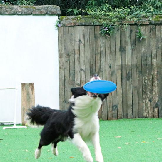 Yousheng Dog Flying Disc Tear Resistant Good Toughness Interactive Exquisite Delicate Sports Tool TPR Funny Flying Saucer Dog Toy for Puppy