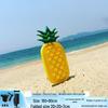 Inflatable Pineapple Cactus Watermelon Pizza Rainbow Pool Float Set