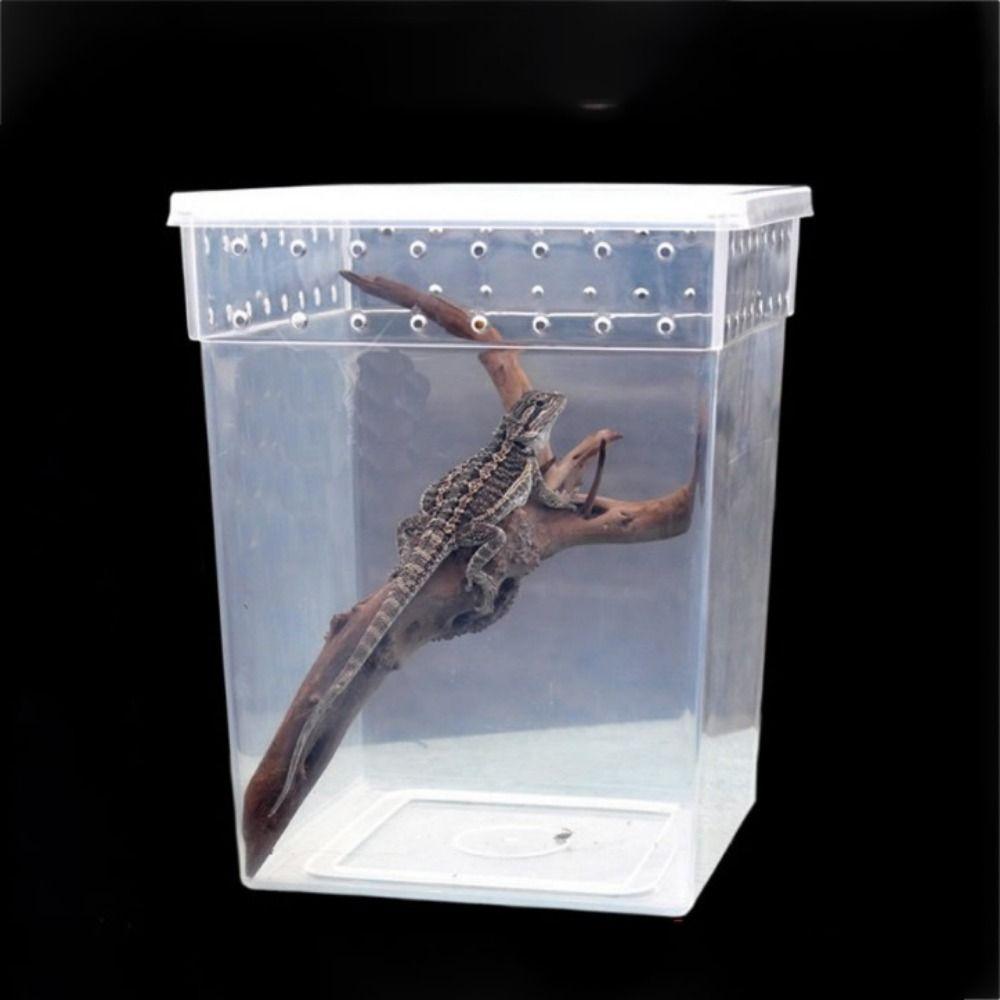 for Scorpion Spider Ants Reptile Habitat Lizard Living Box Insect Feeding Box Hatching Tank