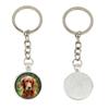 English Setter, Lawerack, Laverack - Keychain In a Box, Own Photo, Keychain Pendant from Brand