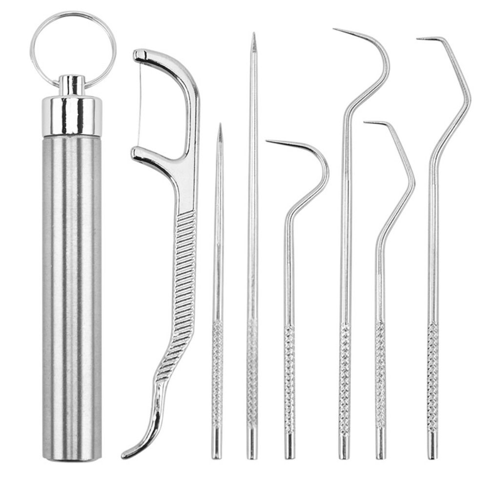 Oral Cleaning Tool Toothpick Pocket Set Stainless Steel Toothpick Set Tooth Pick Keychain Holder