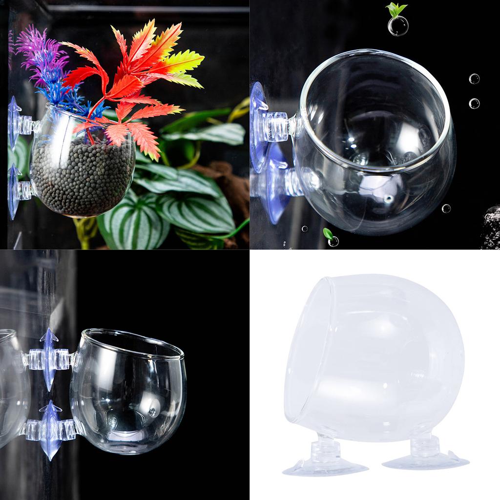 Aquarium Plant Cup Glass Plant Holder for Fishtanks with Suction Cups for Hydroponic Plants and Fishtanks Landscaping