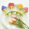 Anju Teether 3p + Case 3p Clamp Holder Set, Strawberry + Orange + Grape + Apple, Mixed Colors, 1 Set, Korean Baby Products