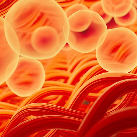 2 Pcs/Set Men Winter Underwear Suit Bottoming Clothes Thick Soft Plush Solid Color Elastic Round Neck Adjustable Waist Long Sleeve Top Pants