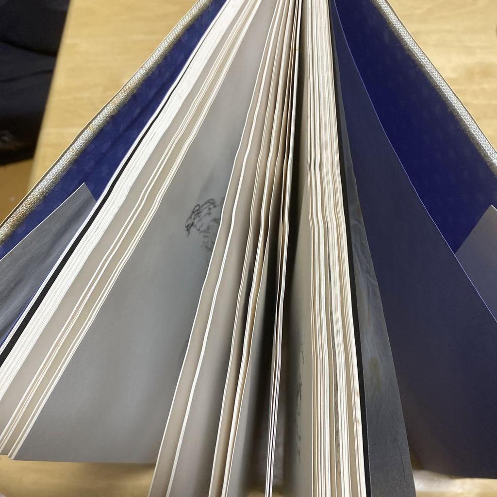 [USED] Chihiro Iwasaki's Premonition Art Collection