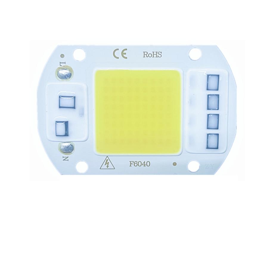 RnnTuu 220 В светодиодный чип 20 Вт 30 Вт 50 Вт COB чип не требует драйвера светодиодные лампы для прожектора прожектора DIY освещение полный спектр