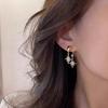 A Pair of Two-wear Zircon Star Earrings, Elegant and Fashionable, Unique Design, Simple and Versatile, High-end Earrings for Women