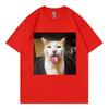 Silly Cat Bleh Funny Meme Graphic T Shirts Unisex Unisex Casual Cotton Short Sleeve Tshirts High Quality Fashion Oversized Tshirt