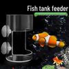 Parrotfish Turtle Floating Feeding Ring for Large Fish Tanks & Koi Aquariums