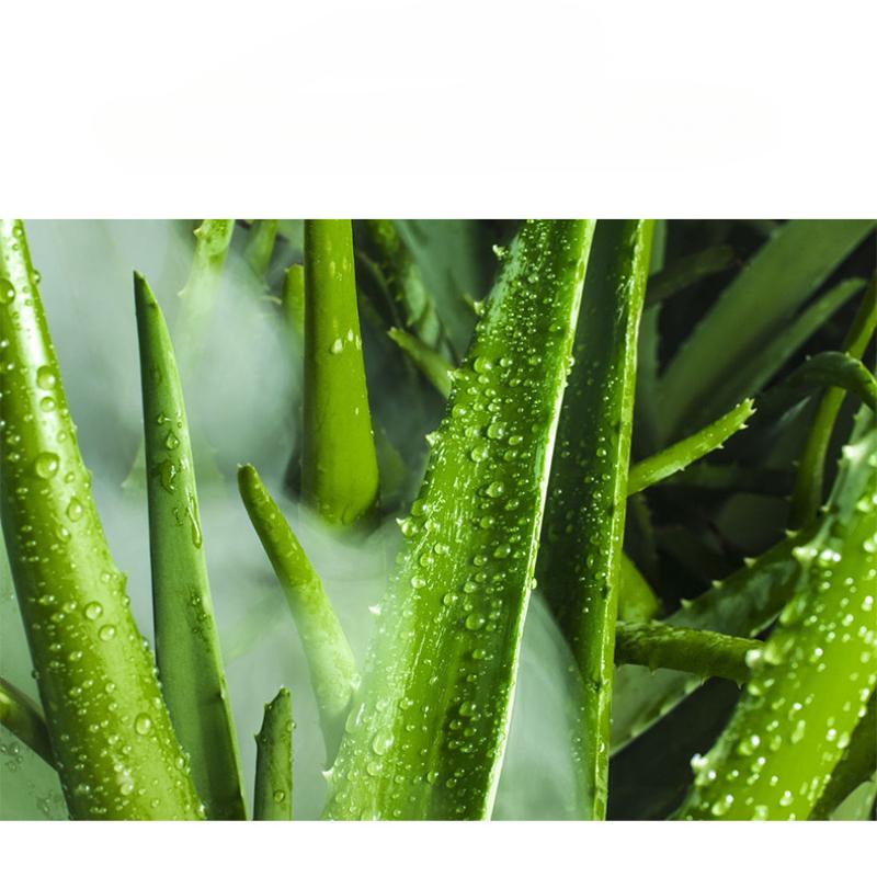 Алоэ Вера Смазка на водной основе 180 мл Секс-масло для удовольствия взрослых, Интимный увлажняющий гель