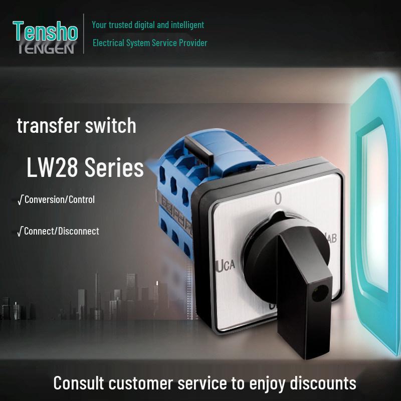 Tianzheng LW28 Electric Changeover Switch Series