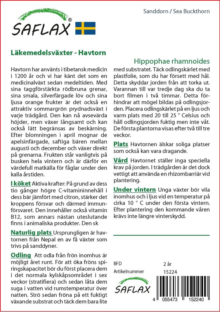 SAFLAX Garden in the Bag - Облепиха - 40 семян - С субстратом в подходящем пакете - Hippophae rhamnoides