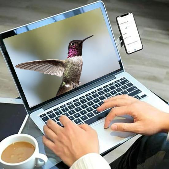 Боковое крепление для телефона на ноутбуке, магнитная регулируемая подставка для телефона, складной кронштейн для монитора, расширительный кронштейн для настольного монитора