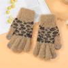 Women's Leopard Print Knitted Warm Gloves, Winter Korean Style, Thickened Fleece, Cycling Touchscreen Full Finger, Fashionable a