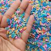 Fish-Shaped Polymer Clay Slices Fish Clay Sprinkles for Resin, Nail Art Fish Polymer Clay, Polymer Clay for DIY Projects