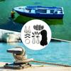 Kayak Canoe  Trolley set Eyes Wellnuts Screws Kayak Accessories Zig  Cleat Rigging-Ring Pulleys -Boat 30Feet