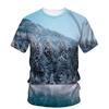 Новые зимние графические футболки с пейзажами для мужчин, летние повседневные трендовые свободные футболки с круглым вырезом и коротким рукавом с принтом для мужчин, топы