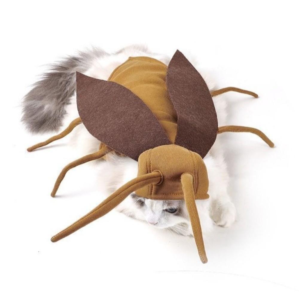 Realistic Pet Transformation Costumes with Wing Costume Pranks Outfit  Small Dogs