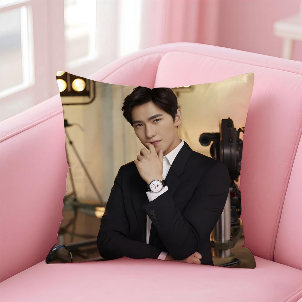 actor handsome YYang Yang Cushion Cover Pillow Case Soft Skin Friendly Fabric Concealed Zipper