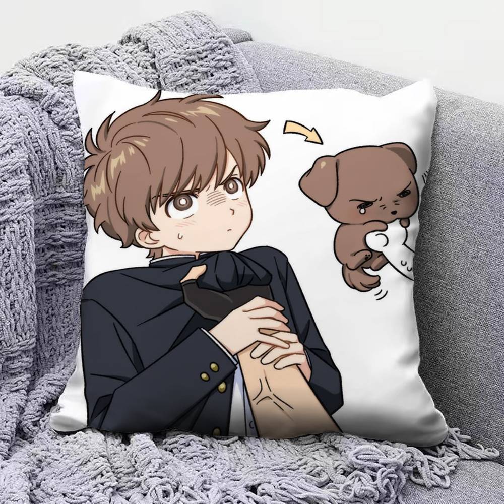 Go for It Nakamura Hirose Home Sofa Cushion Covers and Aecorative Custom Pillow Covers