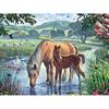Full 5D Diy Diamond Painting Cartoon Animal Horse Embroidery Cross Stitch Home Decor Handmade Gift