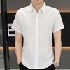 Summer Short-sleeved Shirt Men's Slim Senior Sense of Business Non-iron Striped Short-sleeved Shirt Hairstylist Tide Men's Clothing