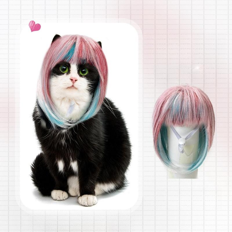 Colorful Gradient Pet Wig Pink Blue Bob Cut With Bangs Adjustable Funny Cat Cosplay Wig for Halloween Party Photo Prop