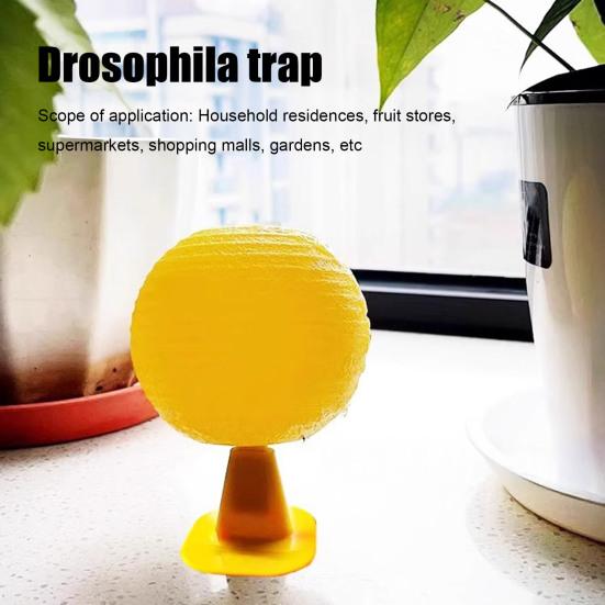 2/3/5Pcs Fly Restaurant Trap Ball with Sticky Kitchen Small Flying Animals