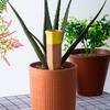 6 Pcs Self Watering Spike Terracotta Watering Spikes Automatic Slow Release Plant Watering Stakes for Indoor Outdoor Plants