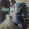 12-дюймовая пластинка LITTLE INDIAN One Little Indian 043602 Premeditated 1995 US Rap HipHopRB Б/у