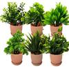 Plastic 6 Packs Fake Plants Small,Mini Artificial Plants Indoor For Home Farmhouse Bathroom Shelf Décor(Height : 17Cm,Pink)