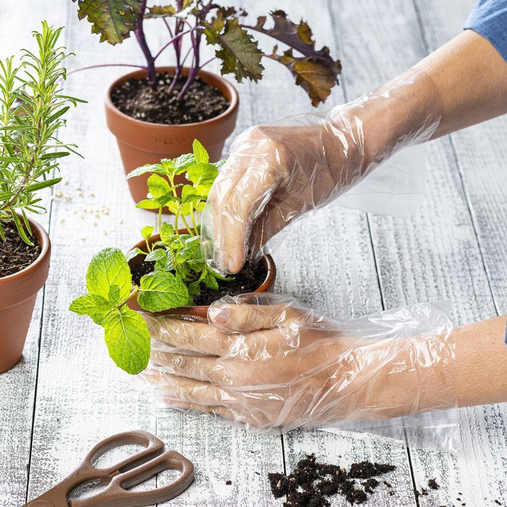 100Pcs Transparent Disposable Gloves Acid Work Safety Latex Free Gloves New Cleaning Gloves