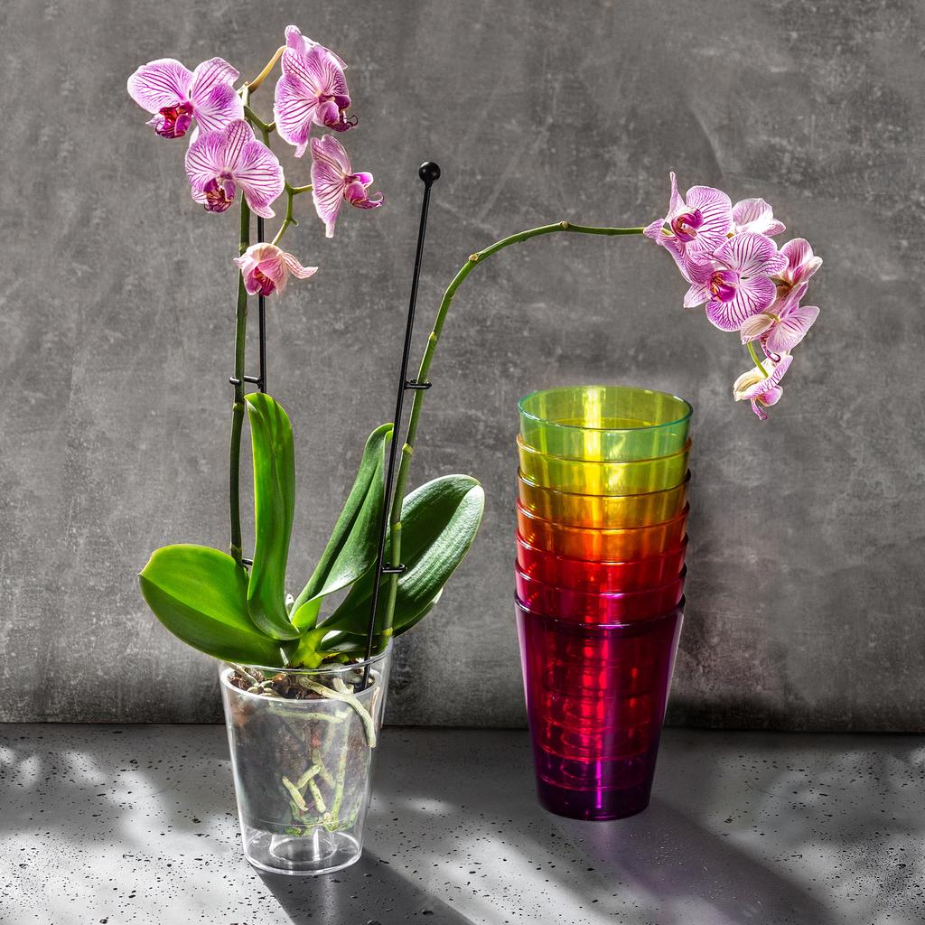 KADAX Горшок Кашпо Для Орхидеи Цветы Прозрачный 12см горшок