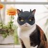 Cat Mask Cute Bat Pet Hat for Cat And Dog Fun Superhero Pet Costume Halloween Cosplay Pet Accessories