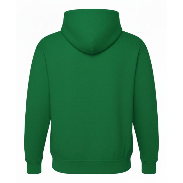 Sweat à Capuche homme foot inspiré Sénégal : Double Champion d'Afrique 2025 - - Vert