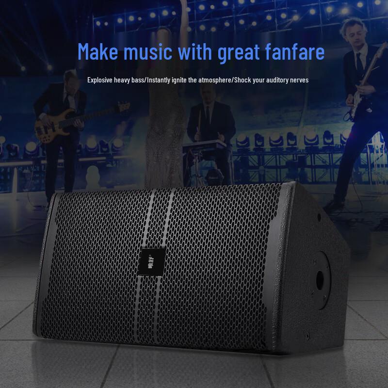 WeiShu PC-610A 10-inch Full-Range Passive Professional Speaker