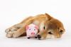 Farm Plush PTFAP12032 Toy/Pig