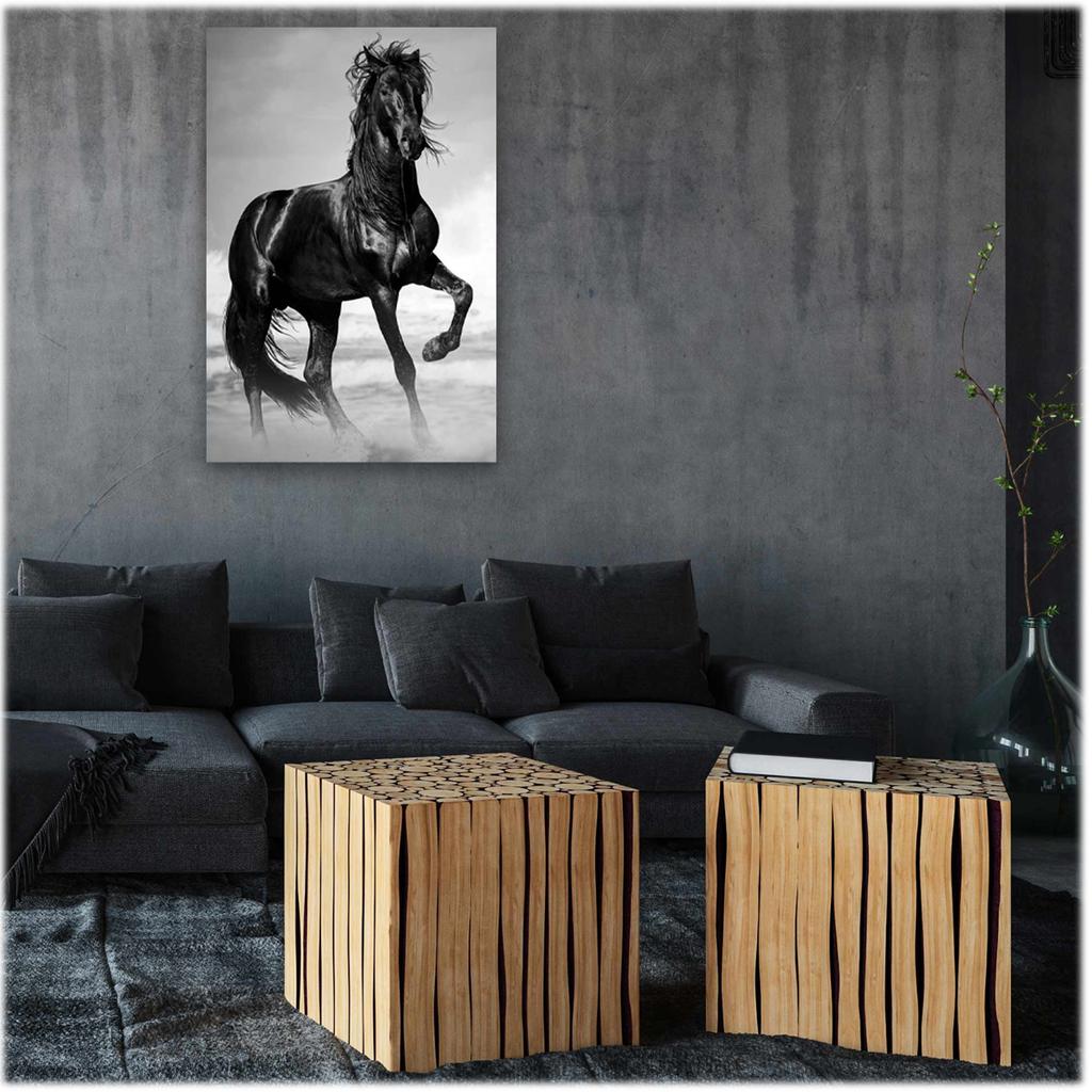 Les Trésors De Lily [A3275] - Фотохолст 'Лошадь' черный - 90x60 см
