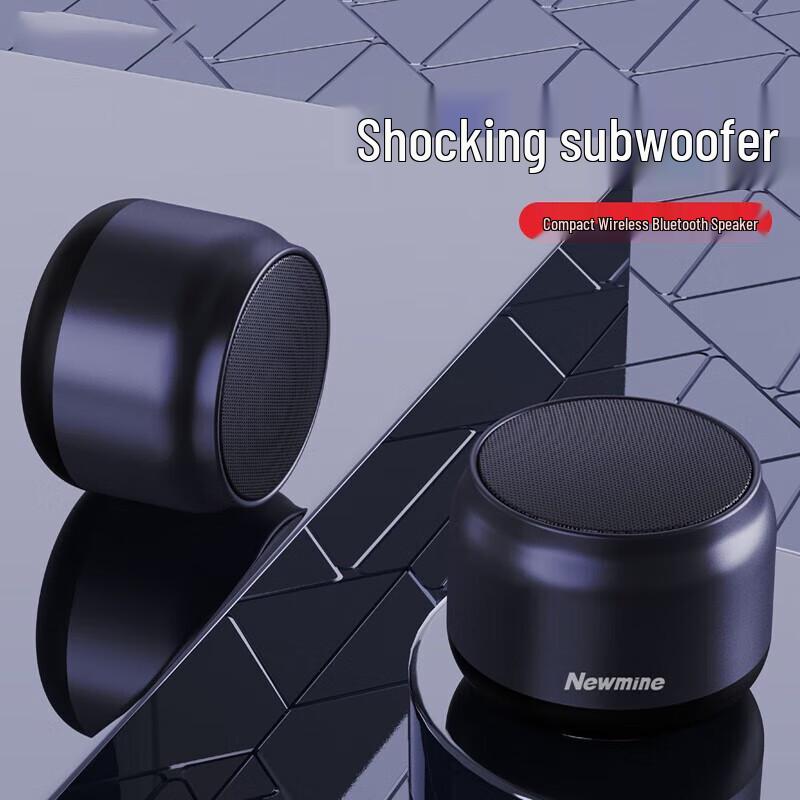 Портативная Bluetooth-колонка Newmine BT31, штекер CN (адаптер в комплекте)